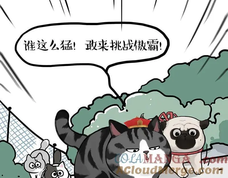 吾皇巴扎黑漫画大中华史漫画,第442话 逆风的挑战3图