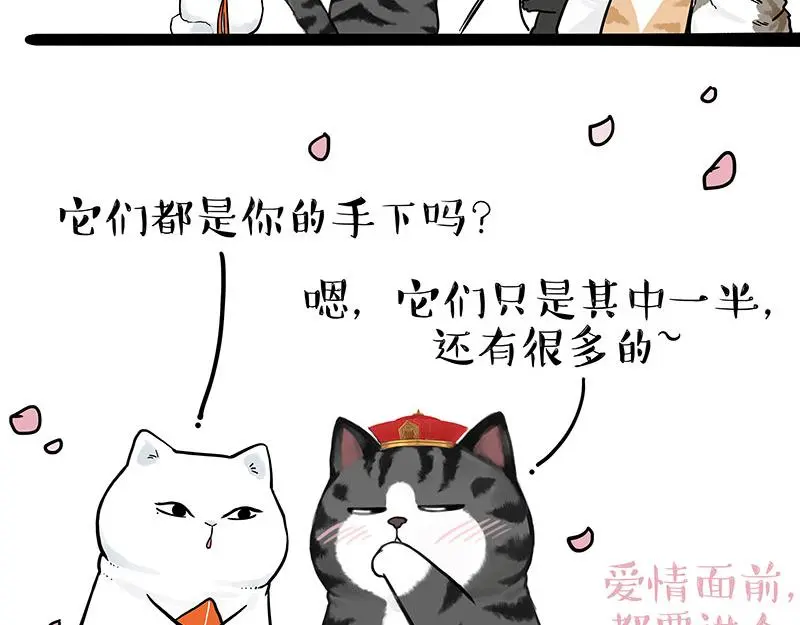 吾皇巴扎黑头像漫画,第323话 春日恋情？！2图