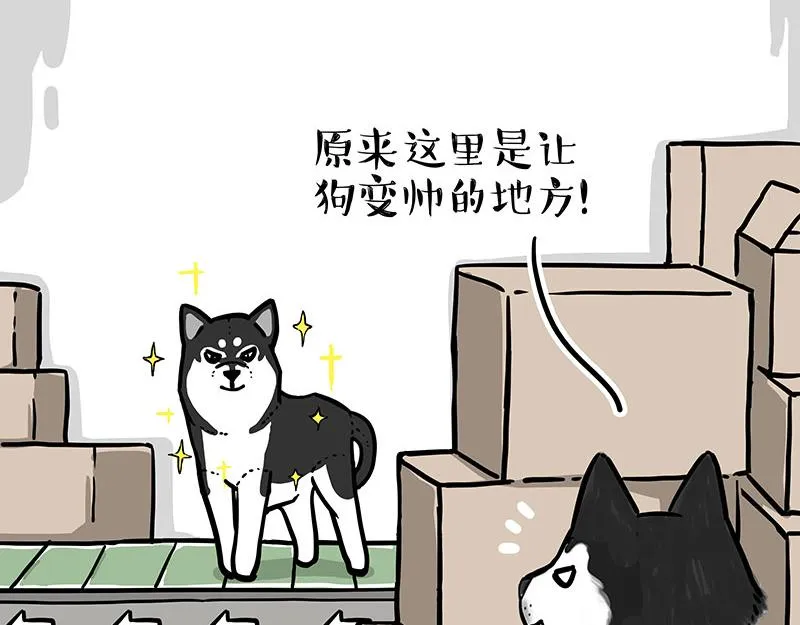 吾皇巴扎黑漫画,第304话 你是真的狗5图