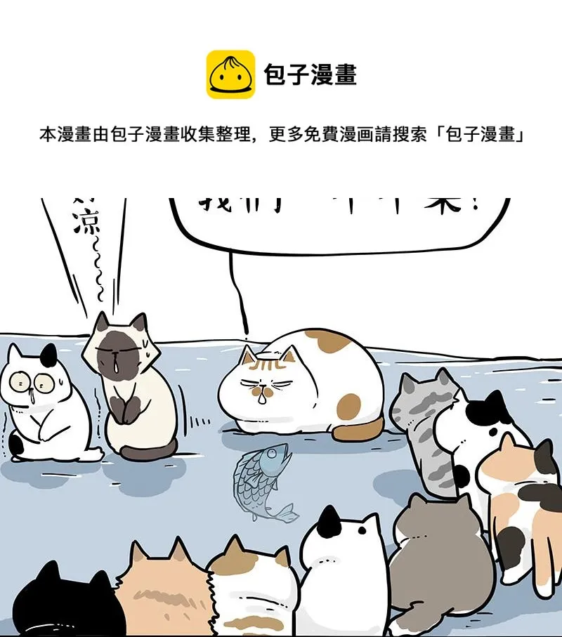 吾皇巴扎黑环游世界盲盒漫画,第320话 猫孵鱼4图