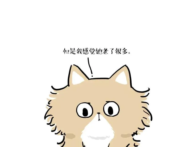 第424话 话痨小猫3