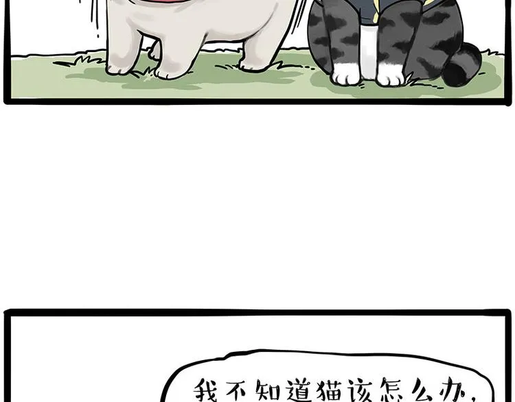 吾皇巴扎黑全集漫画,第262话 忠犬巴扎黑？！4图