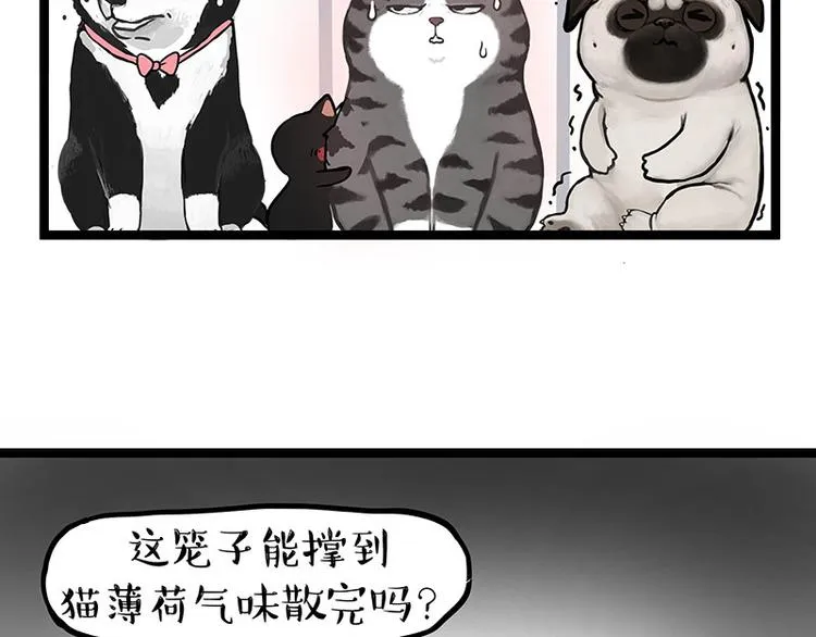 吾皇巴扎黑表情包漫画,第284话 美喵竟是我自己4图