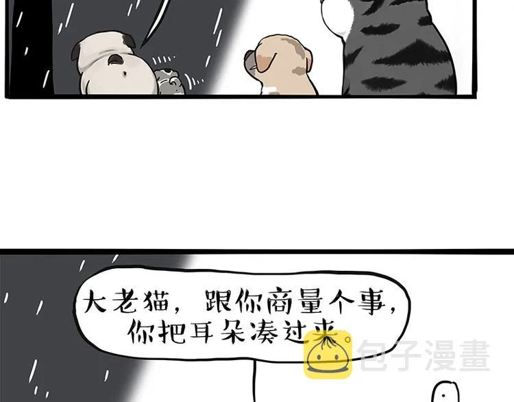 吾皇巴扎黑音乐盲盒漫画,第267话 不让你流浪4图