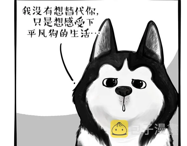 吾皇巴扎黑漫画,第289话 吹牛狗真牛3图