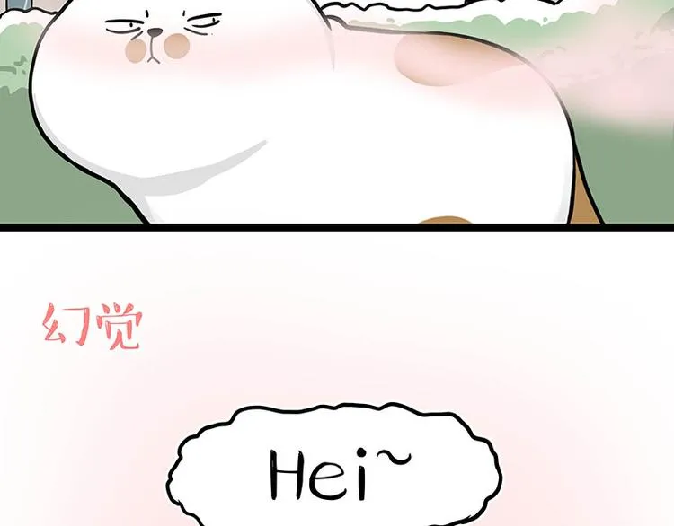 吾皇巴扎黑壁纸漫画,第284话 美喵竟是我自己3图