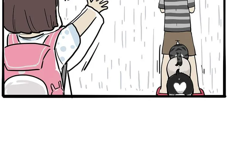 吾皇巴扎黑漫画书漫画,第282话 型男（猫）4图