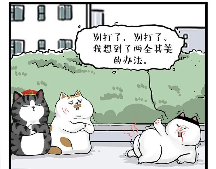 第277话 猫斗猫0