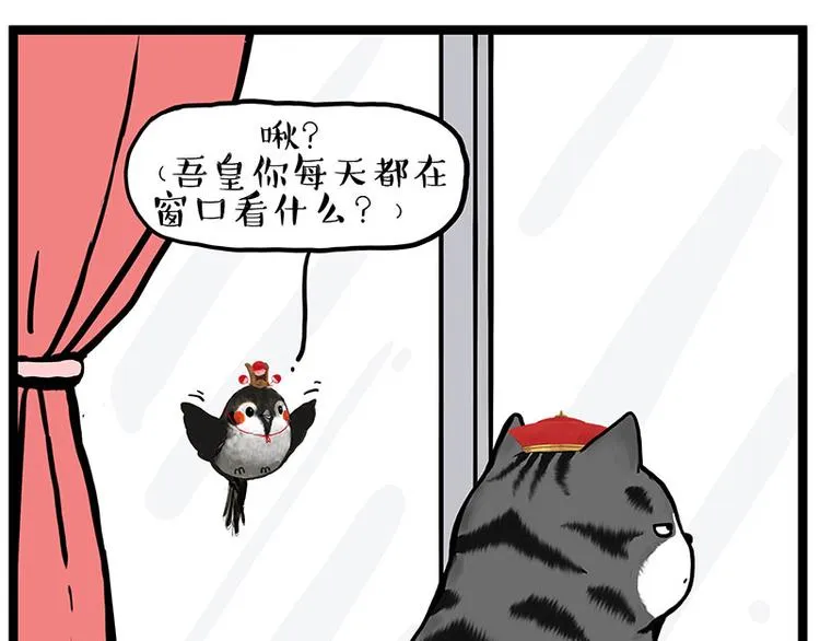 吾皇巴扎黑漫画,第277话 猫斗猫1图