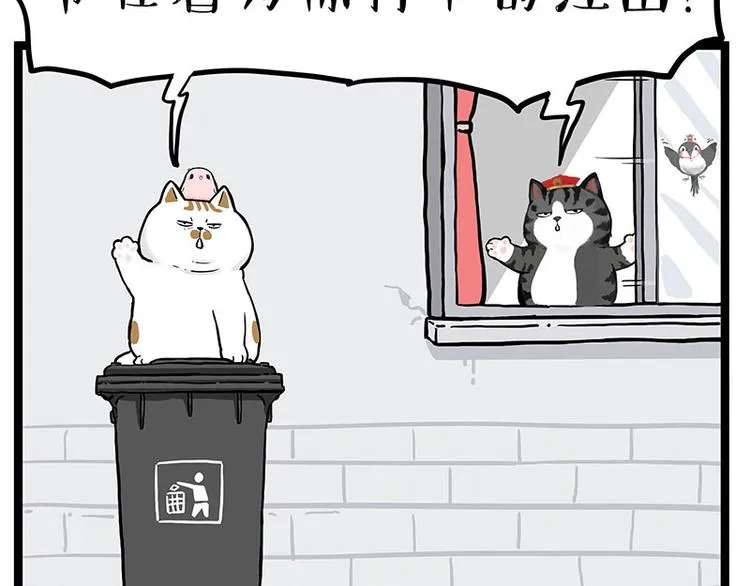 吾皇巴扎黑漫画,第277话 猫斗猫4图