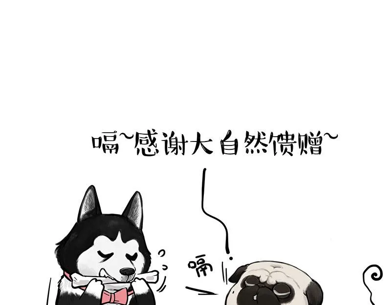 吾皇巴扎黑漫画,第373话 都是因为爱5图