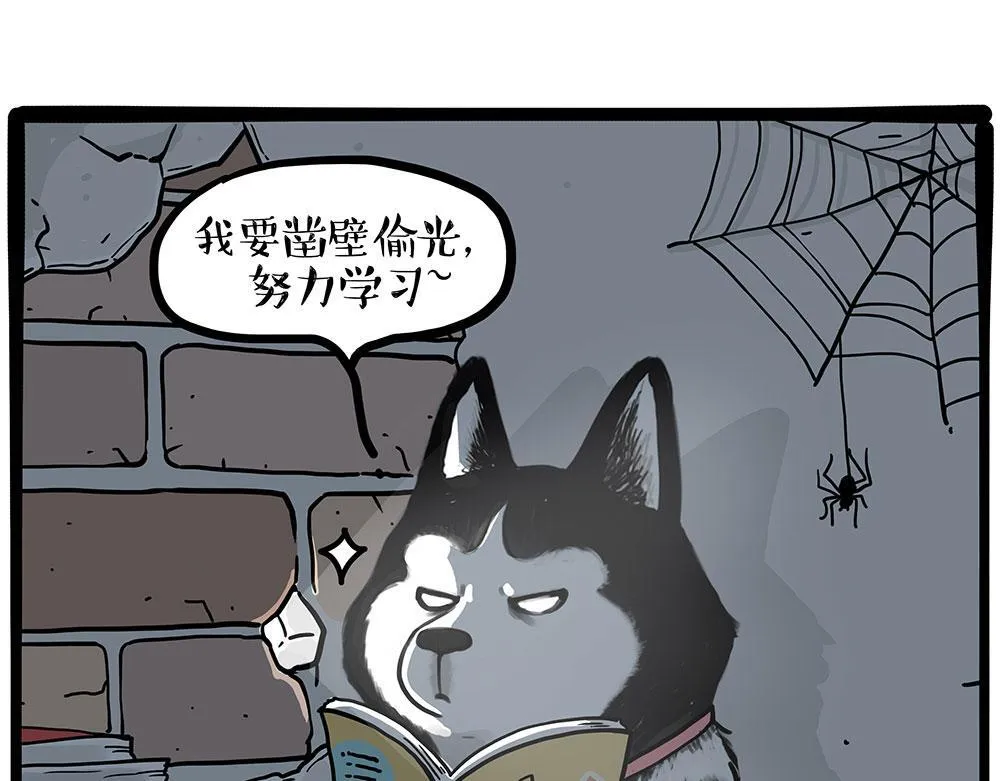 吾皇巴扎黑表情包漫画,第447话 消息盲盒1图