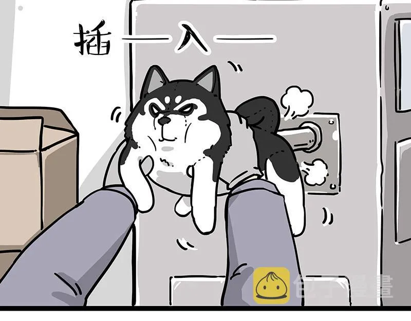 吾皇巴扎黑全集漫画,第304话 你是真的狗1图