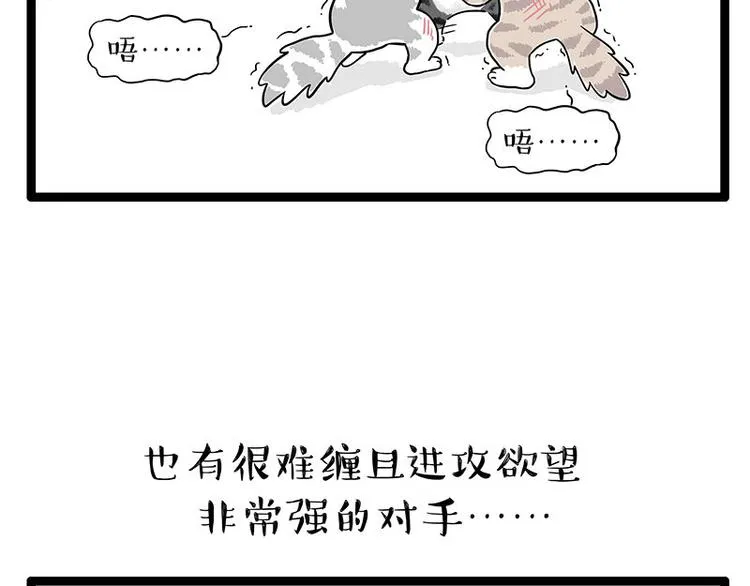 第254话 摔角大赛谁与争锋4