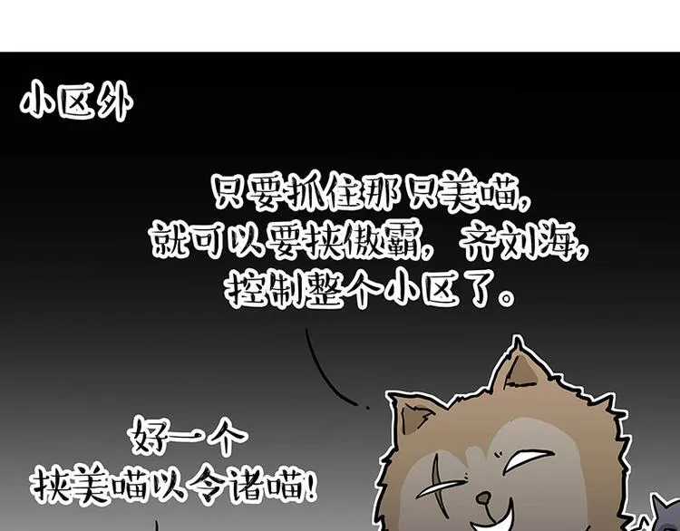 吾皇巴扎黑壁纸漫画,第284话 美喵竟是我自己5图