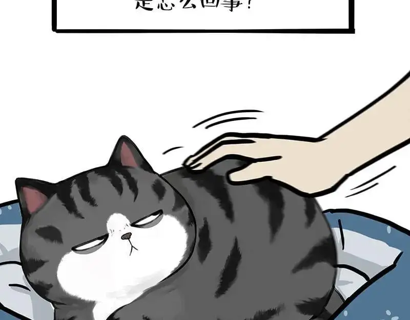 吾皇巴扎黑漫画书漫画,第399话 NPC5图