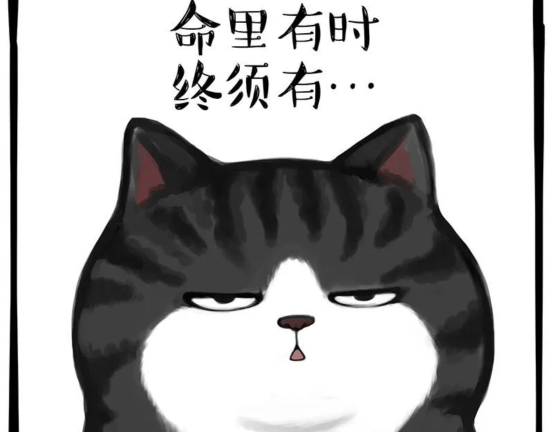 吾皇巴扎黑漫画书漫画,第349话 养只猫吧4图