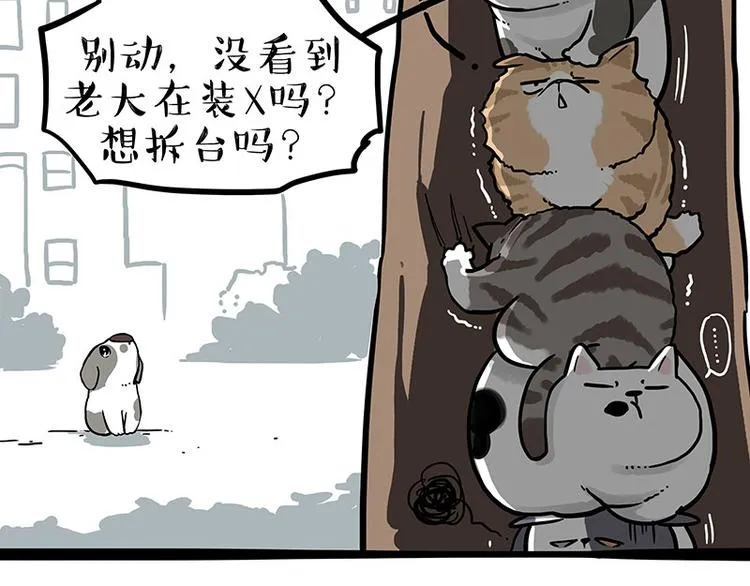 第270话 胖老猫你个大骗子！0