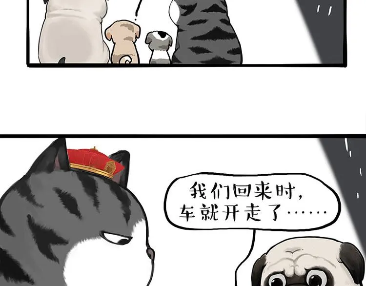 吾皇巴扎黑音乐盲盒漫画,第267话 不让你流浪2图