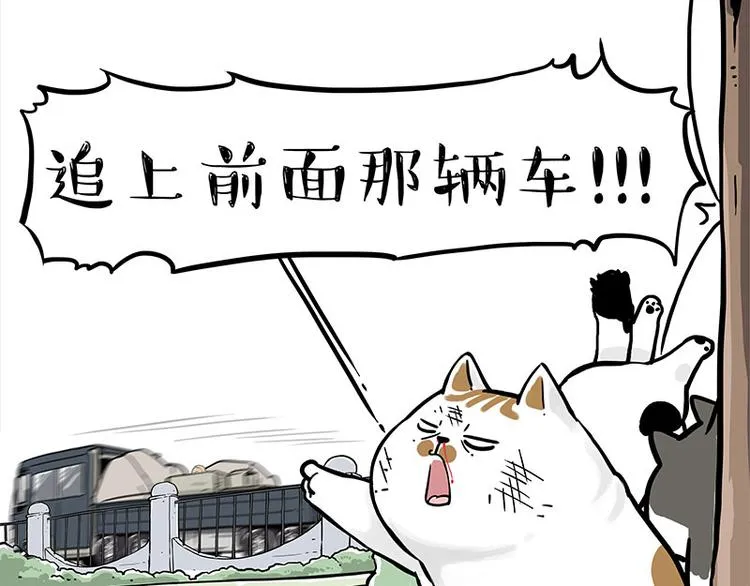 吾皇巴扎黑全集漫画,第271话 进击的流浪猫！3图