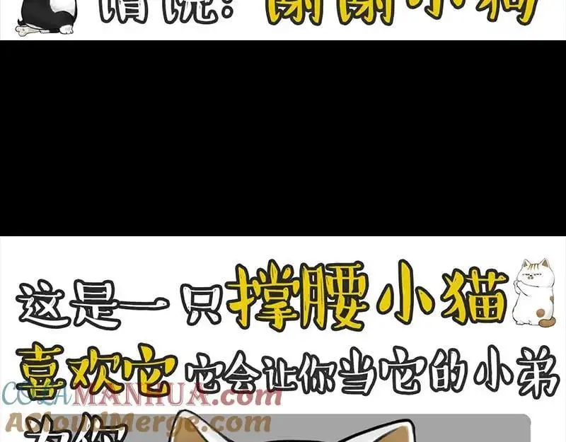 吾皇巴扎黑漫画书漫画,第399话 NPC1图