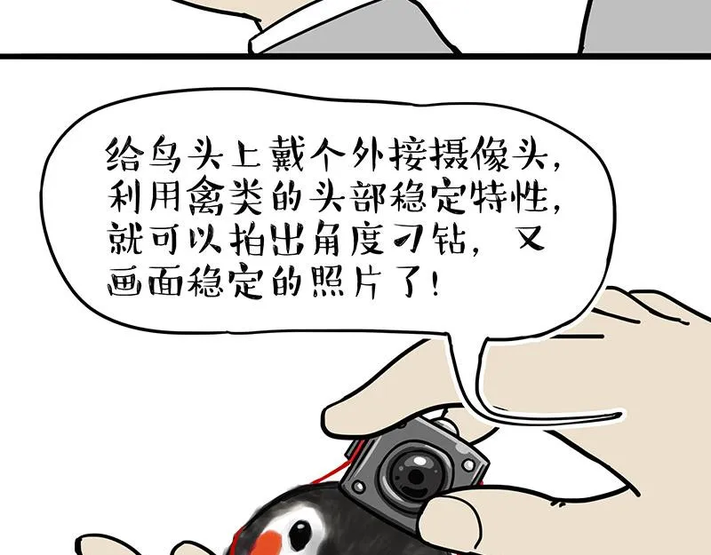 吾皇巴扎黑漫画,第309话 不妙小喵招5图