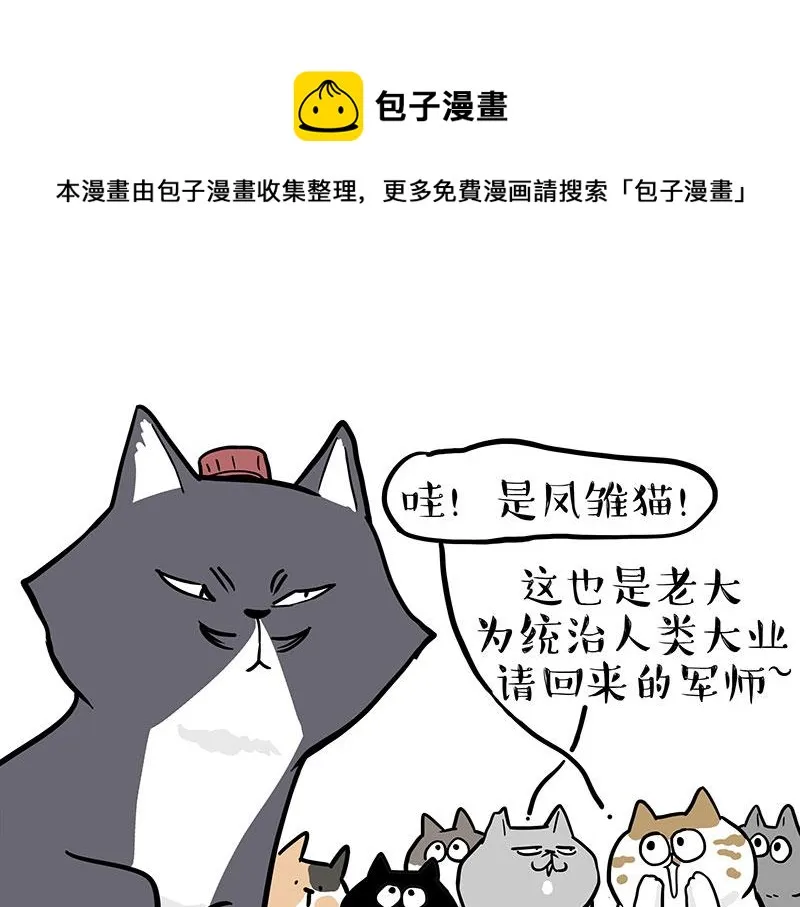 吾皇巴扎黑环游世界盲盒漫画,第320话 猫孵鱼2图