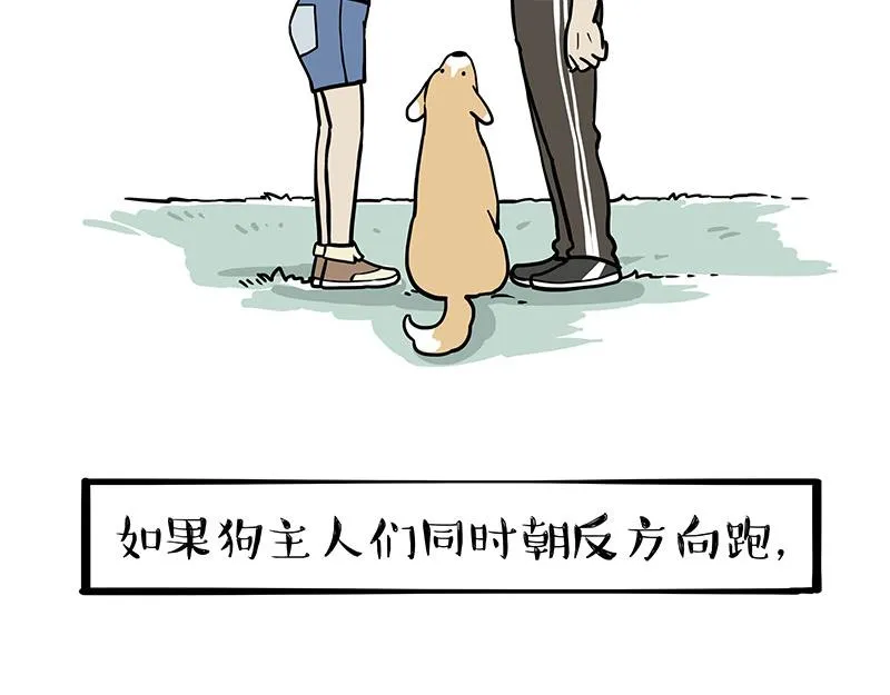 吾皇巴扎黑漫画,第318话 这狗没白养2图