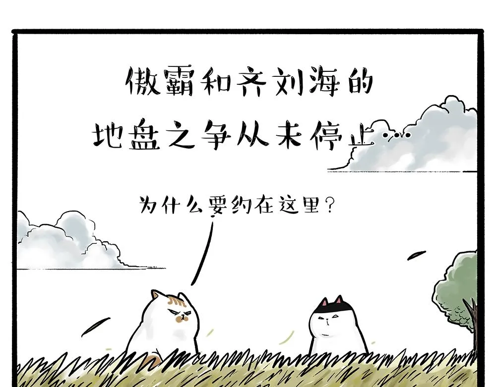 吾皇巴扎黑漫画,第331话 猫王争霸之“杀青”1图