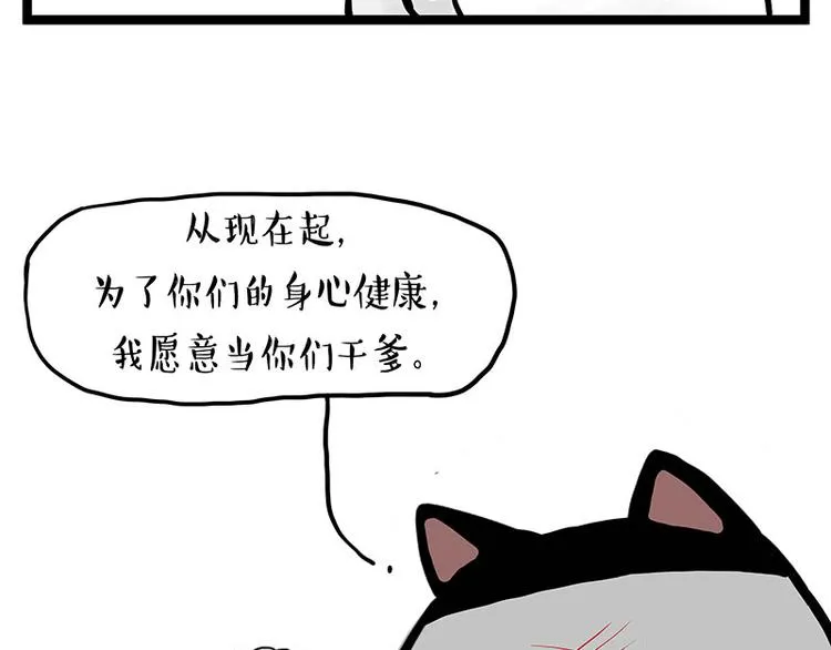 第277话 猫斗猫2