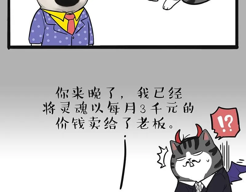 吾皇巴扎黑盲盒隐藏款漫画,第384话 猫猫代打2图