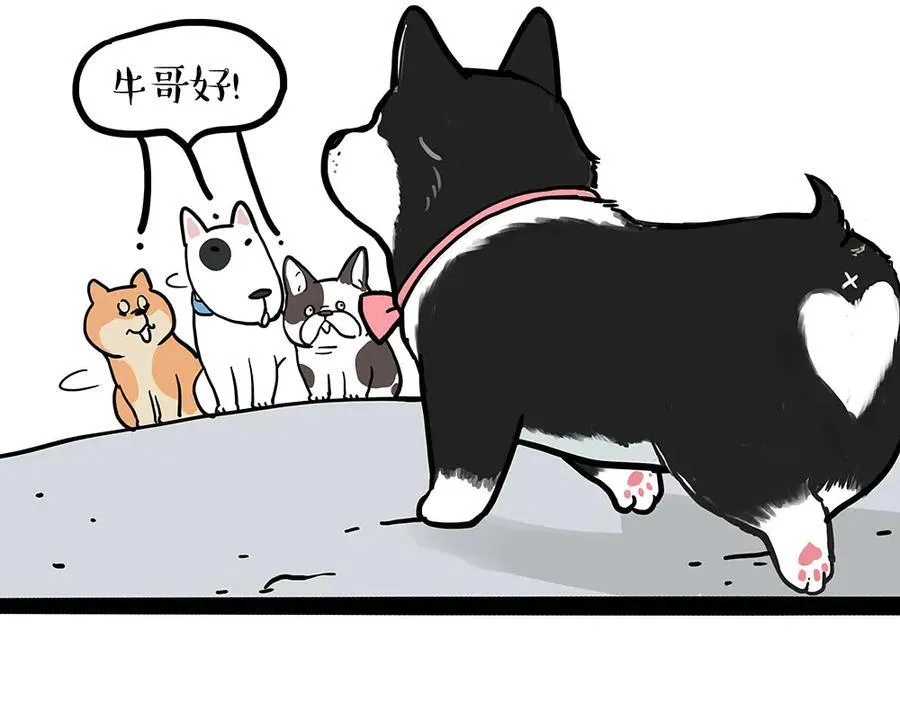 吾皇巴扎黑盲盒隐藏款漫画,第438话 “坏心”办好事4图