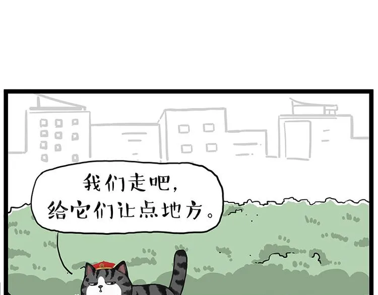 吾皇巴扎黑图片漫画,第269话 跟我回家吧2图