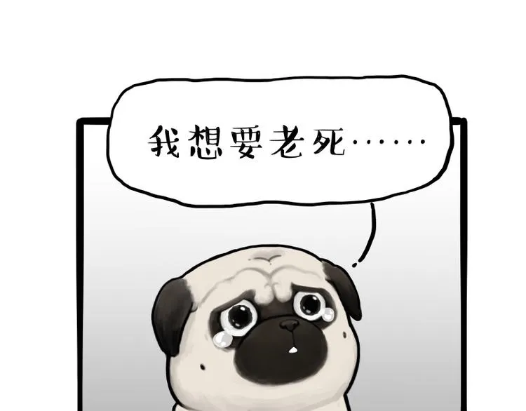 吾皇巴扎黑简介漫画,第261话 灭蟑？2图