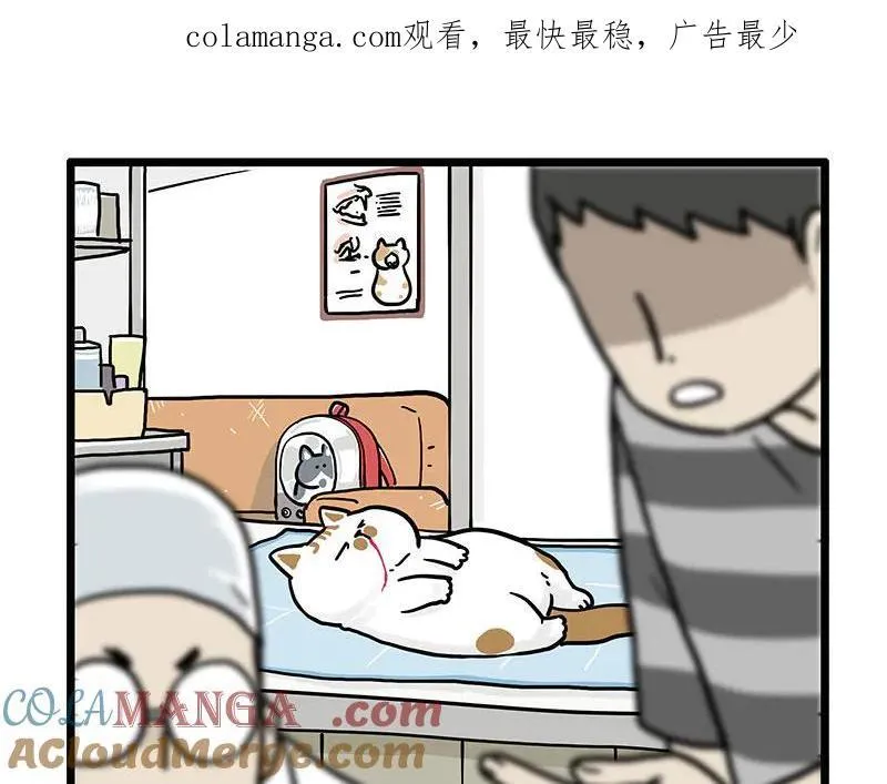 吾皇巴扎黑漫画,第441话 不要出卖老大！1图