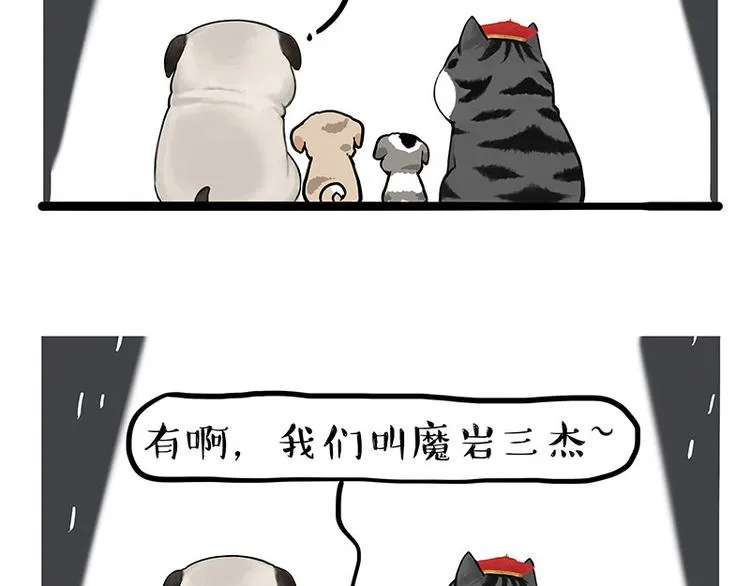 吾皇巴扎黑高清壁纸漫画,第267话 不让你流浪5图