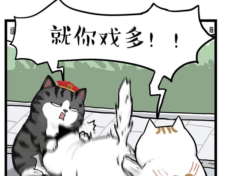 第277话 猫斗猫4