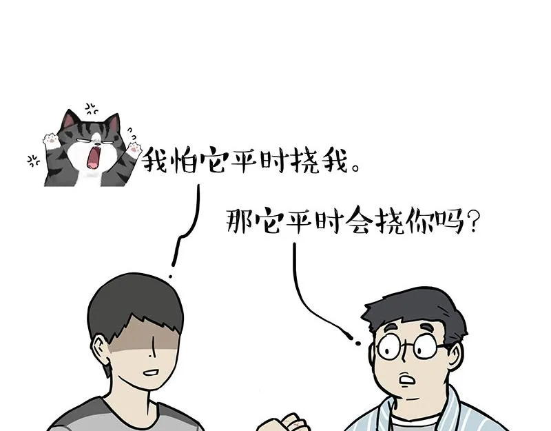 吾皇巴扎黑漫画大中华史2漫画,第378话 给你满天星星1图