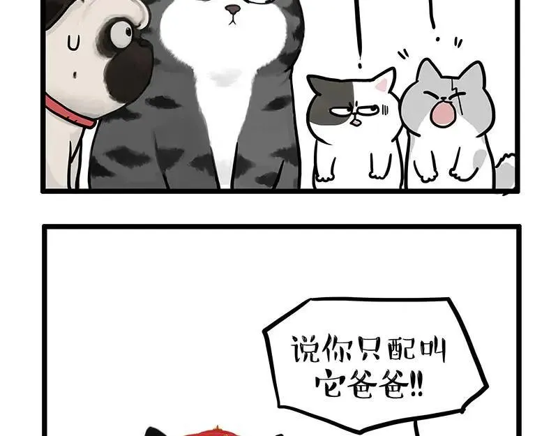 吾皇巴扎黑漫画漫画,第441话 不要出卖老大！5图