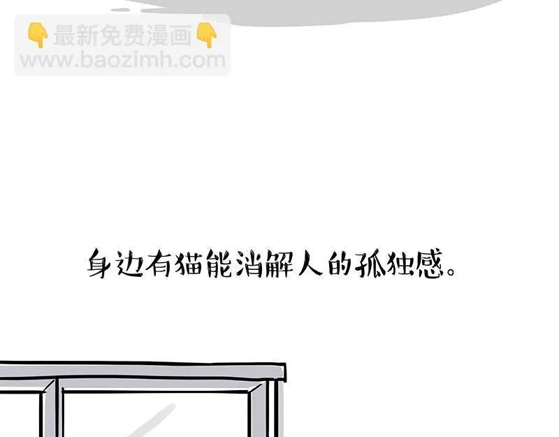 吾皇巴扎黑漫画,第333话 养啥好？3图