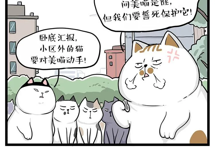 吾皇巴扎黑表情包漫画,第284话 美喵竟是我自己2图