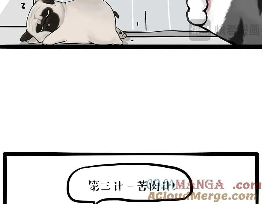 吾皇巴扎黑漫画,第433话 驱蚊妙计2图