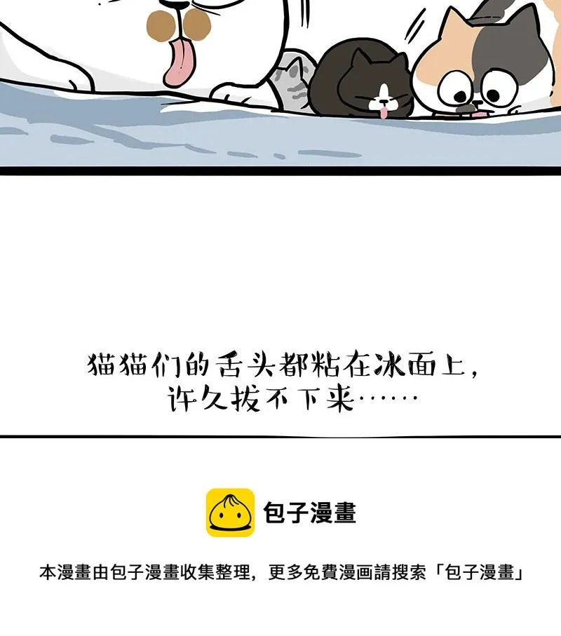 吾皇巴扎黑环游世界盲盒漫画,第320话 猫孵鱼1图