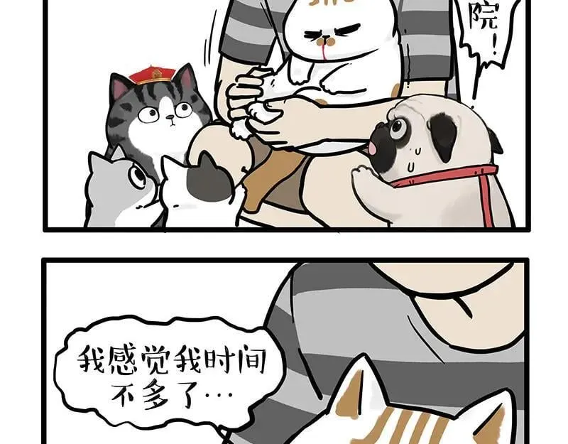 吾皇巴扎黑漫画,第440话 不要开这种玩笑4图