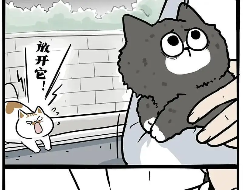 吾皇巴扎黑漫画书漫画,第402话 送走！所有！1图