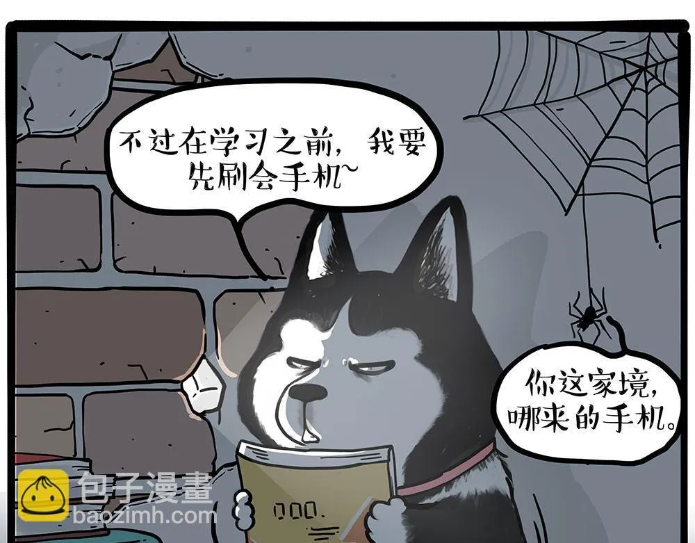 吾皇巴扎黑表情包漫画,第447话 消息盲盒3图