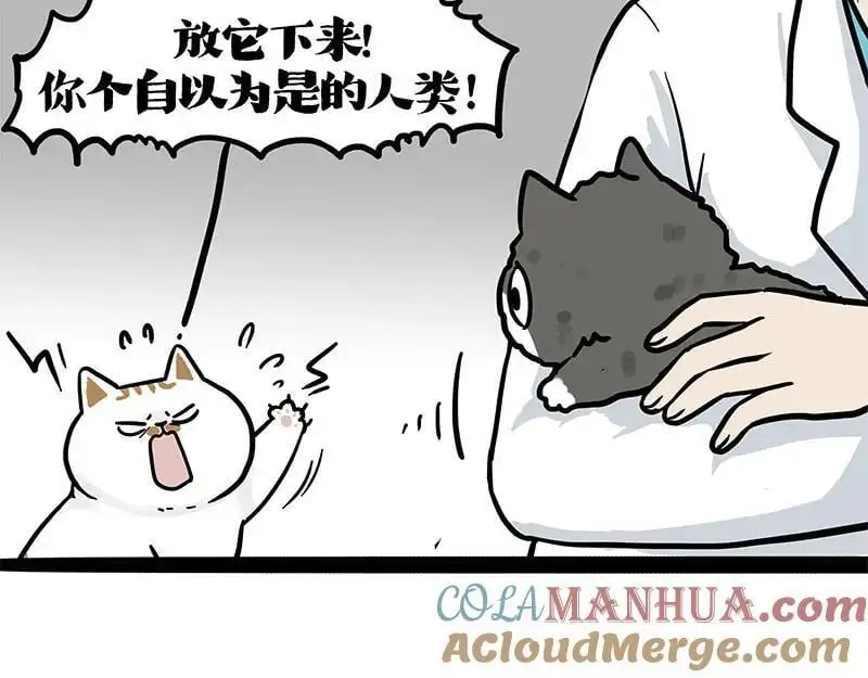 吾皇巴扎黑漫画书漫画,第402话 送走！所有！1图