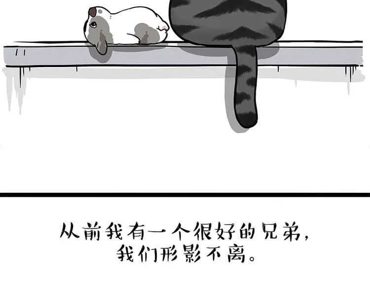 吾皇巴扎黑图片漫画,第269话 跟我回家吧4图