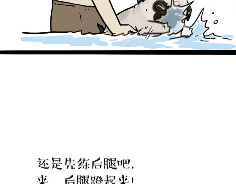 吾皇巴扎黑漫画,第294话 教狗游泳难度爆棚5图