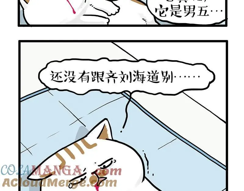 吾皇巴扎黑漫画漫画,第441话 不要出卖老大！3图